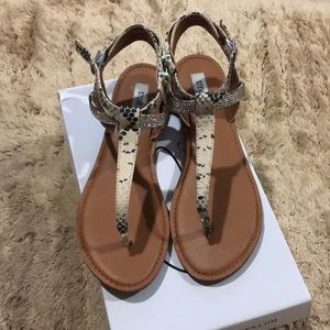 Steve Madden Snake Print Sandals